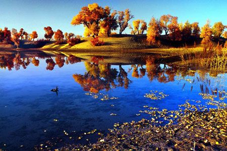 完美秋韻：喀納斯、禾木、胡楊、沙漠攝影13日游